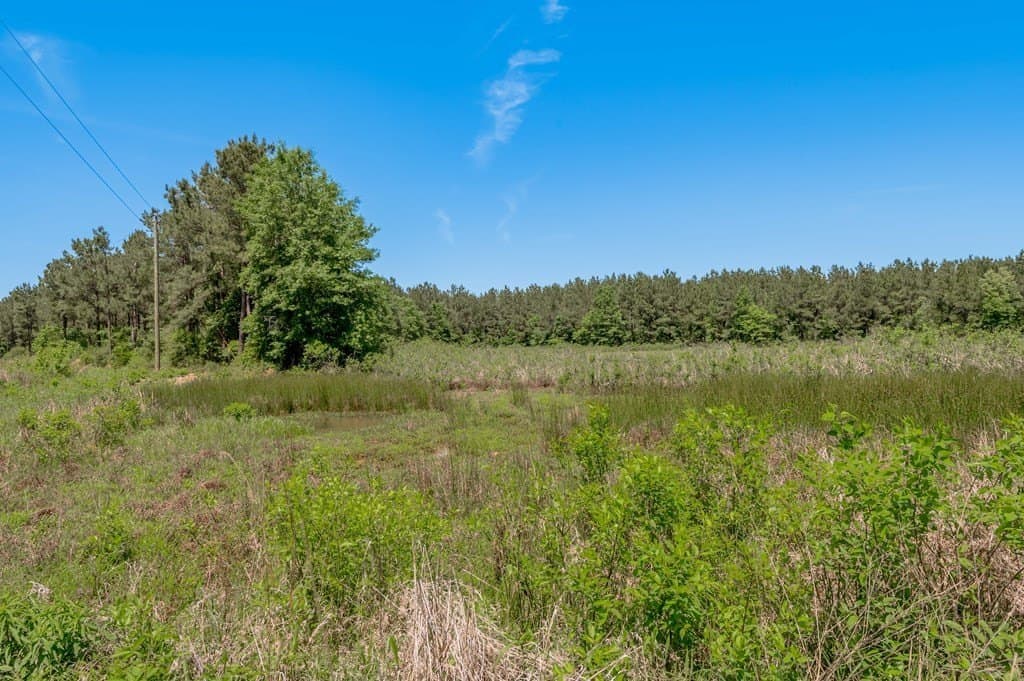 10.13 acres in Texas County - photo 7