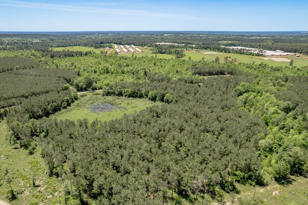 10.13 acres in Texas County - photo 13