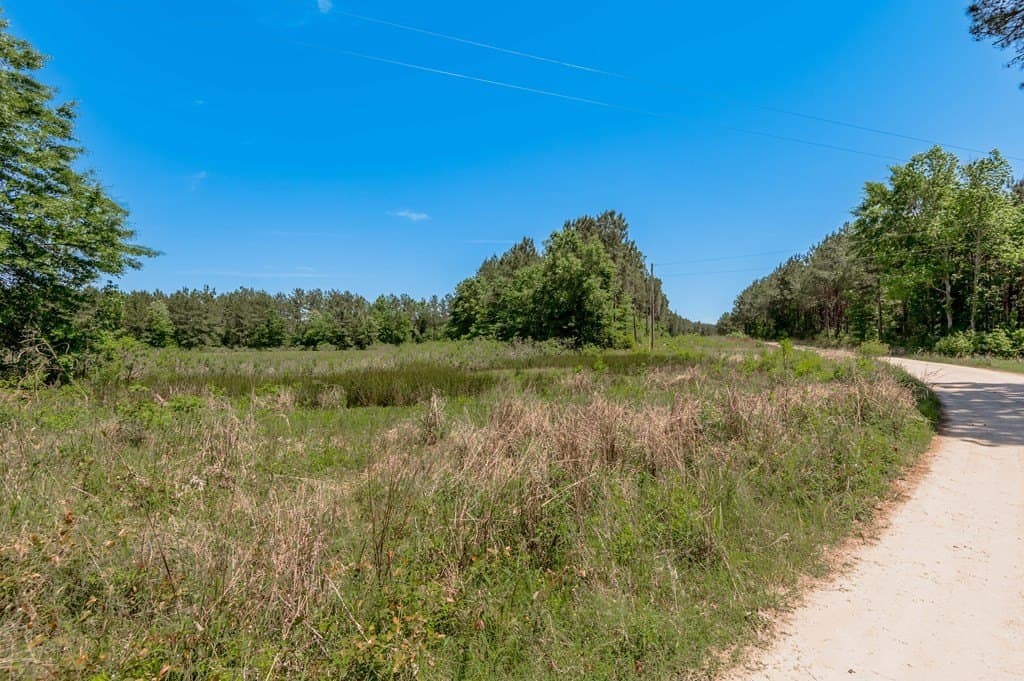 10.13 acres in Texas County - photo 9