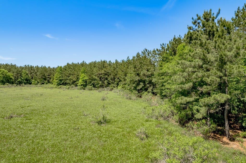 10.13 acres in Texas County - photo 16