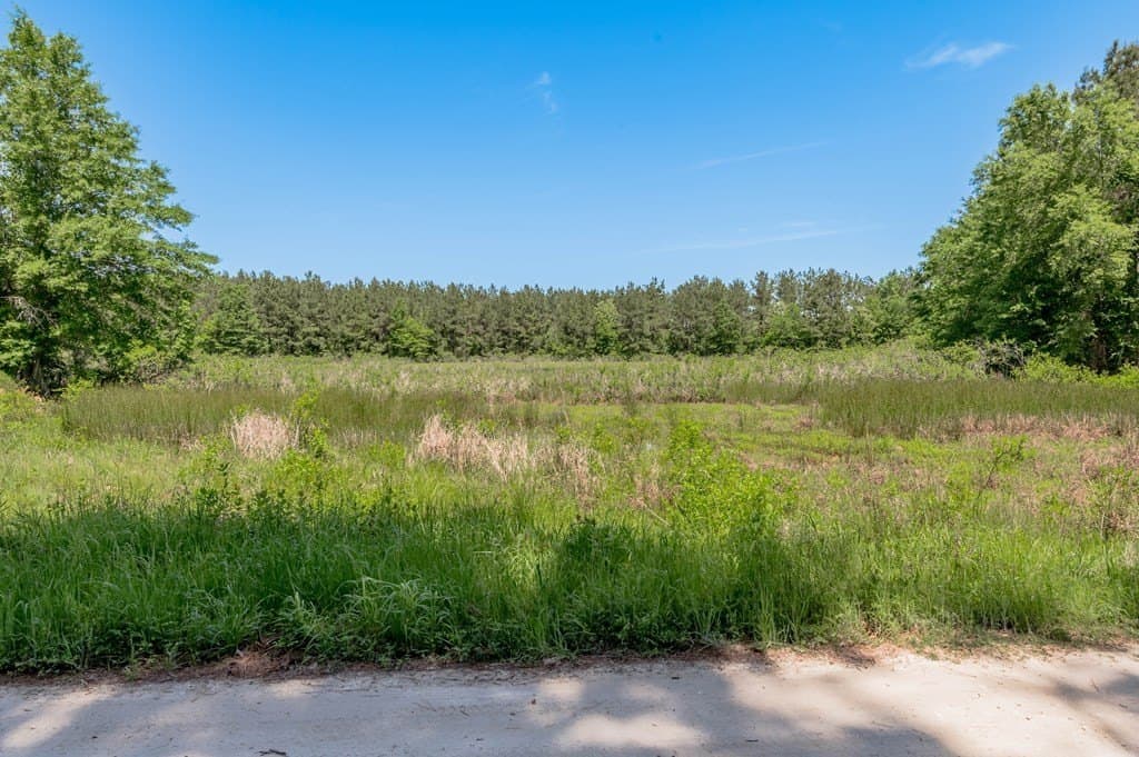 10.13 acres in Texas County gallery image 4