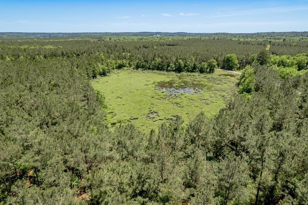 10.13 acres in Texas County - photo 15