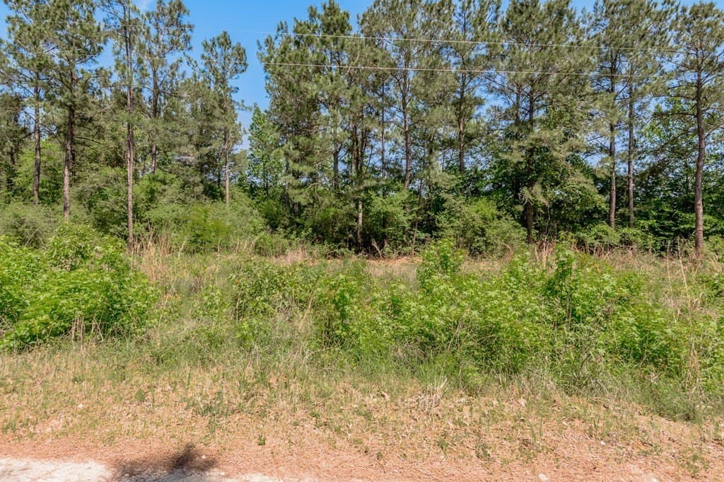 10.13 acres in Texas County - photo 10