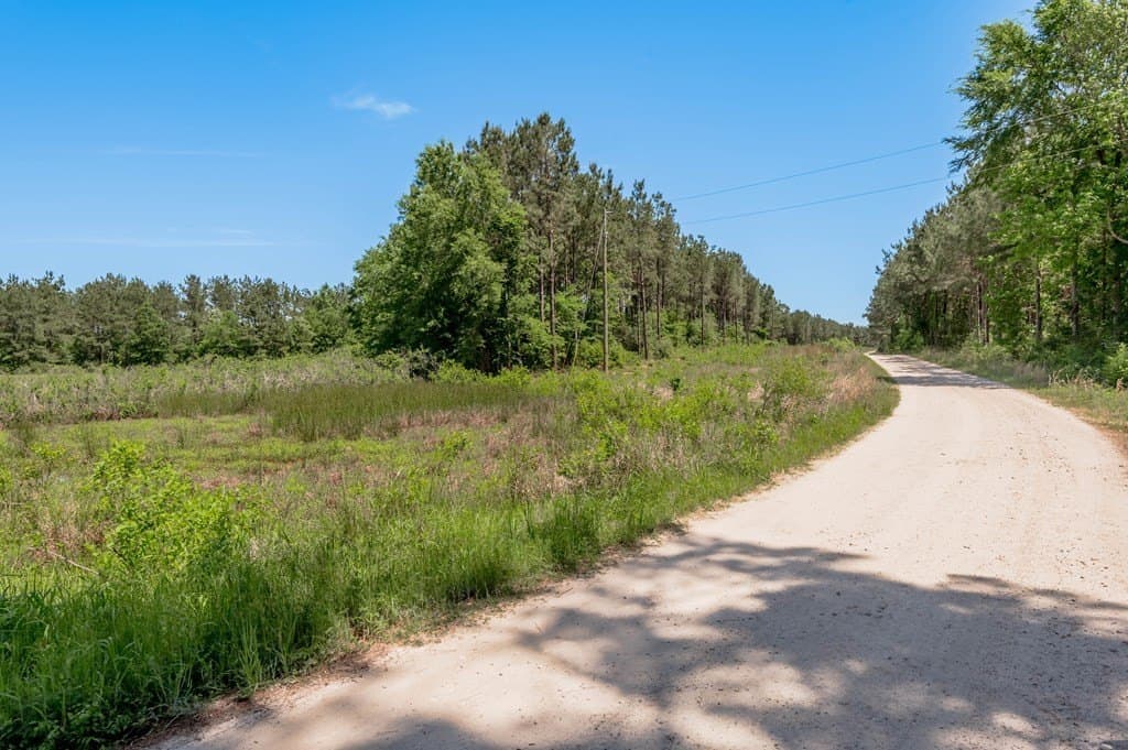 10.13 acres in Texas County featured view