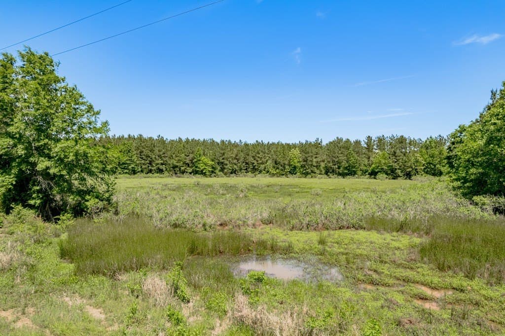 10.13 acres in Texas County - photo 11