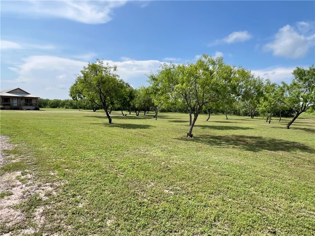 20.02 acres in Refugio County gallery image 3
