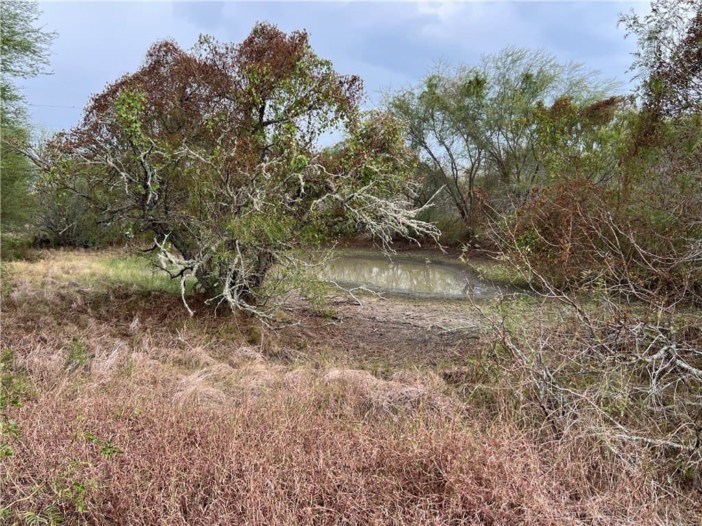 20.02 acres in Refugio County - photo 24