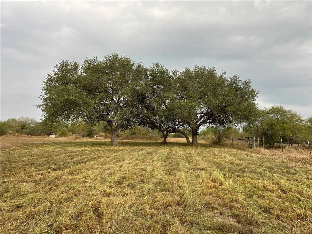 20.02 acres in Refugio County - photo 25