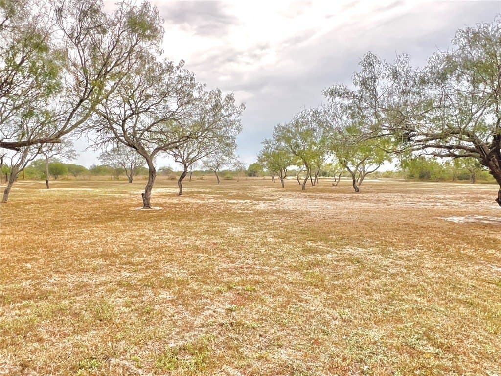 20.02 acres in Refugio County - photo 30