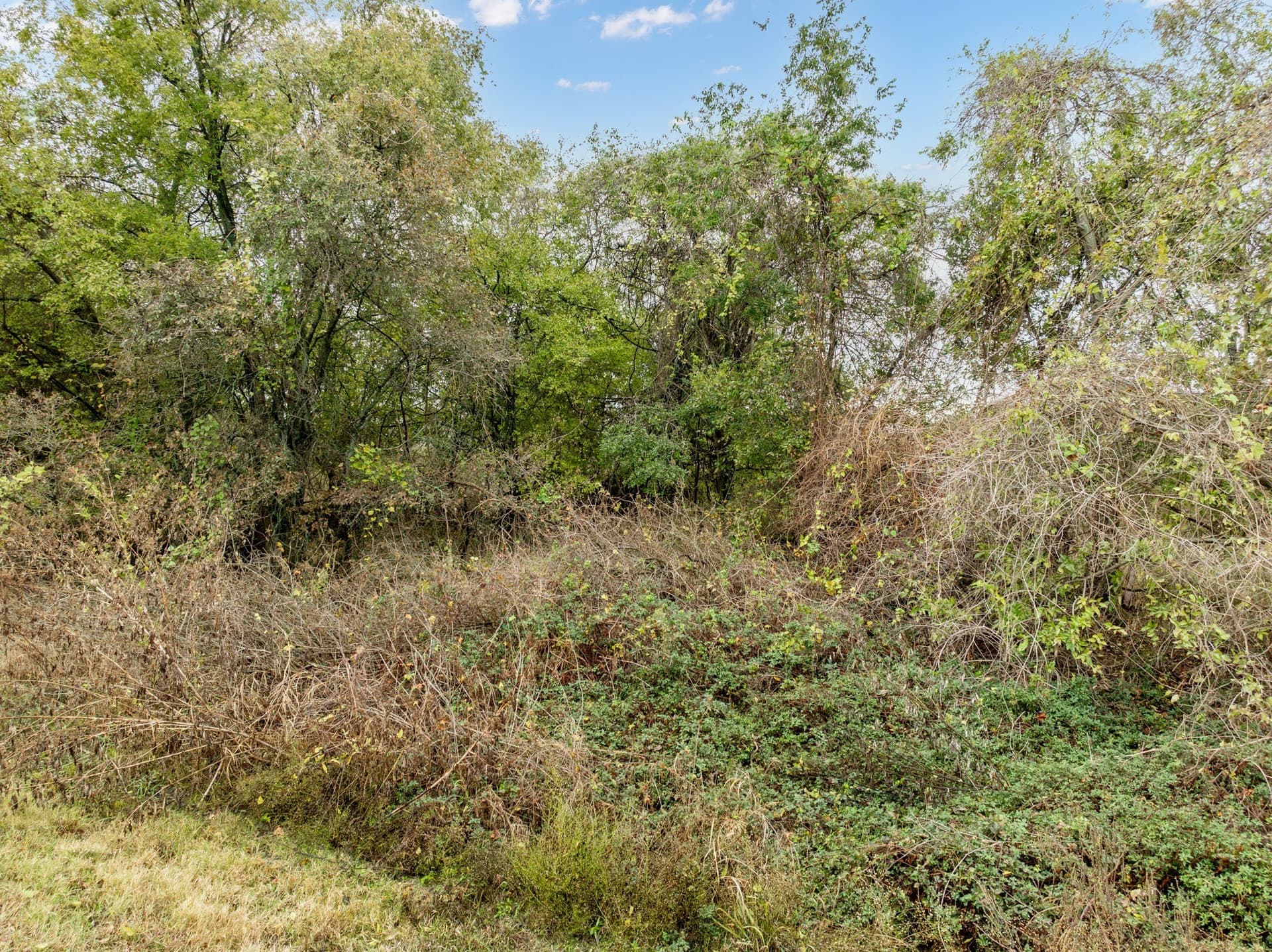 0.26 acres in Hill County - photo 5
