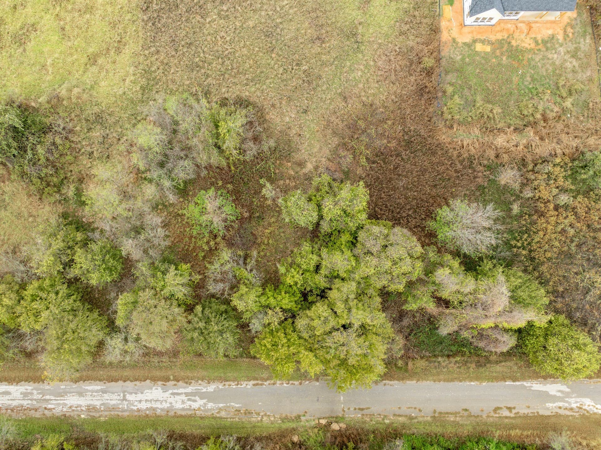 0.26 acres in Hill County - photo 4