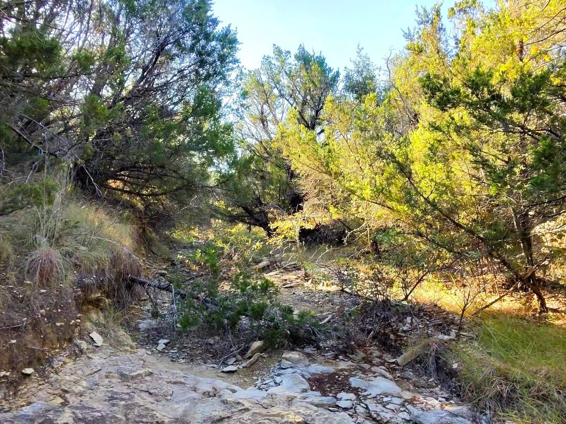 200 acres in Erath County - photo 27