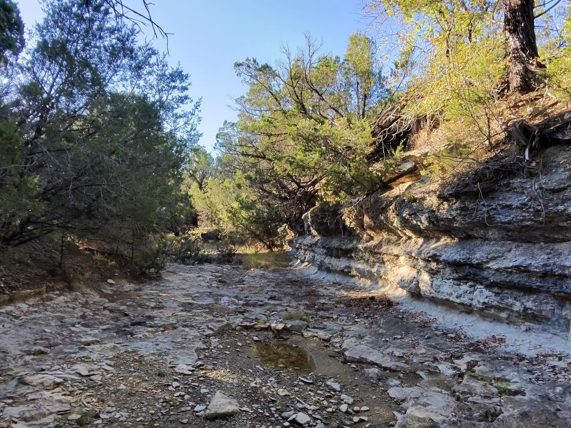 200 acres in Erath County - photo 29