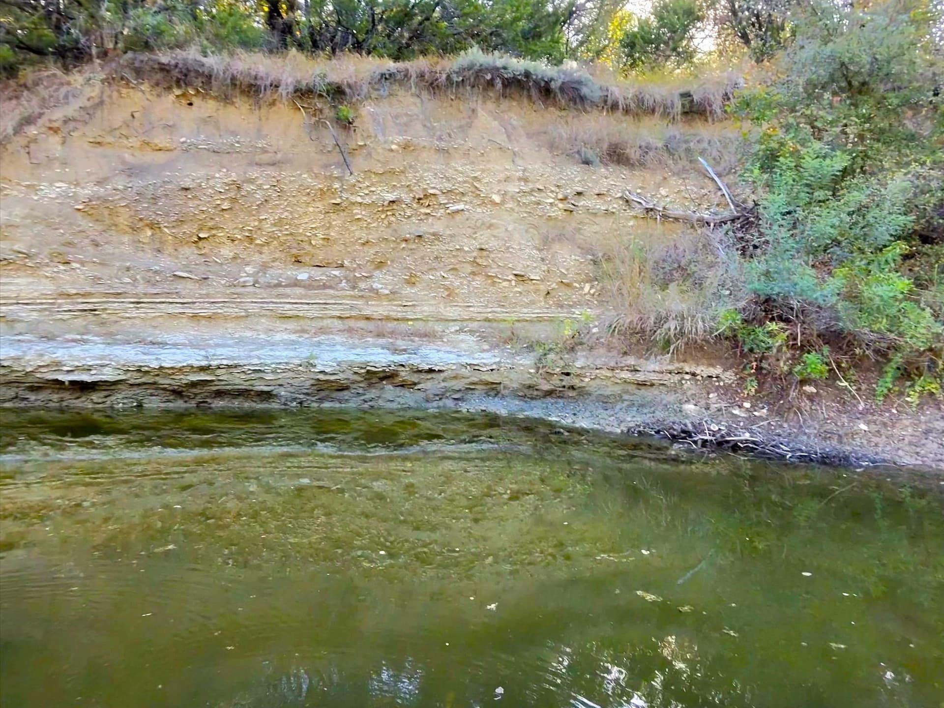 200 acres in Erath County - photo 21