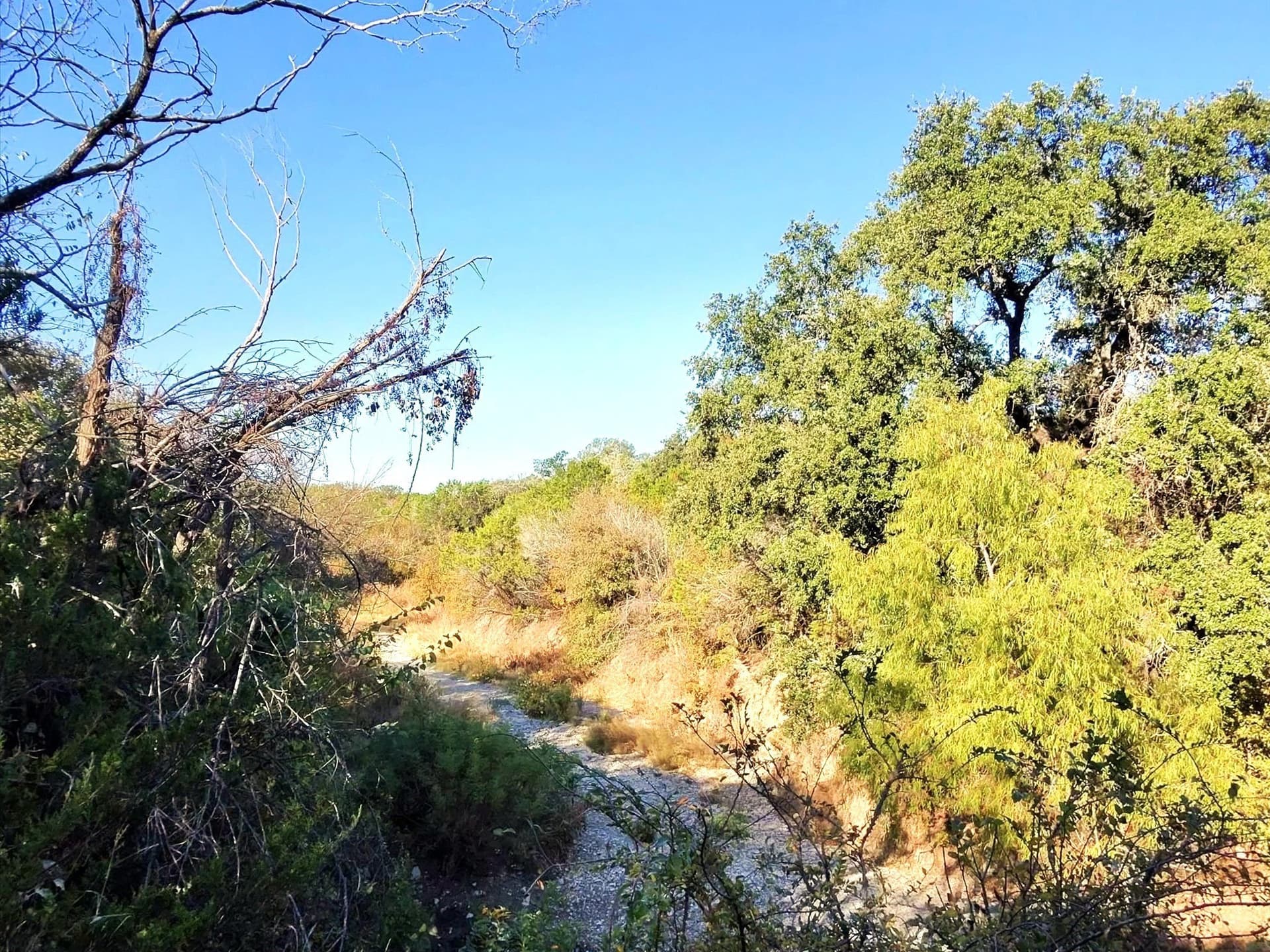 200 acres in Erath County - photo 16