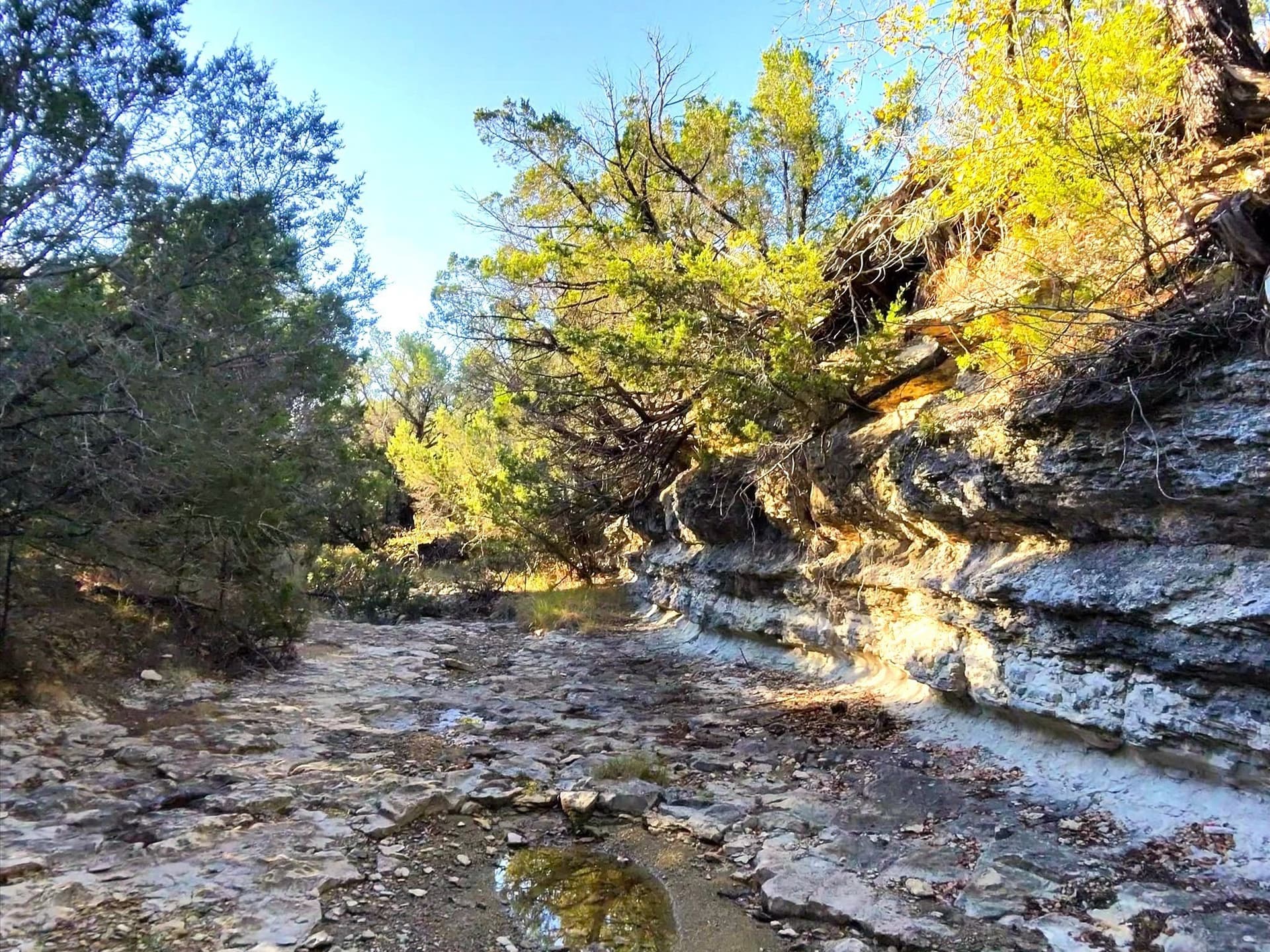 200 acres in Erath County - photo 28