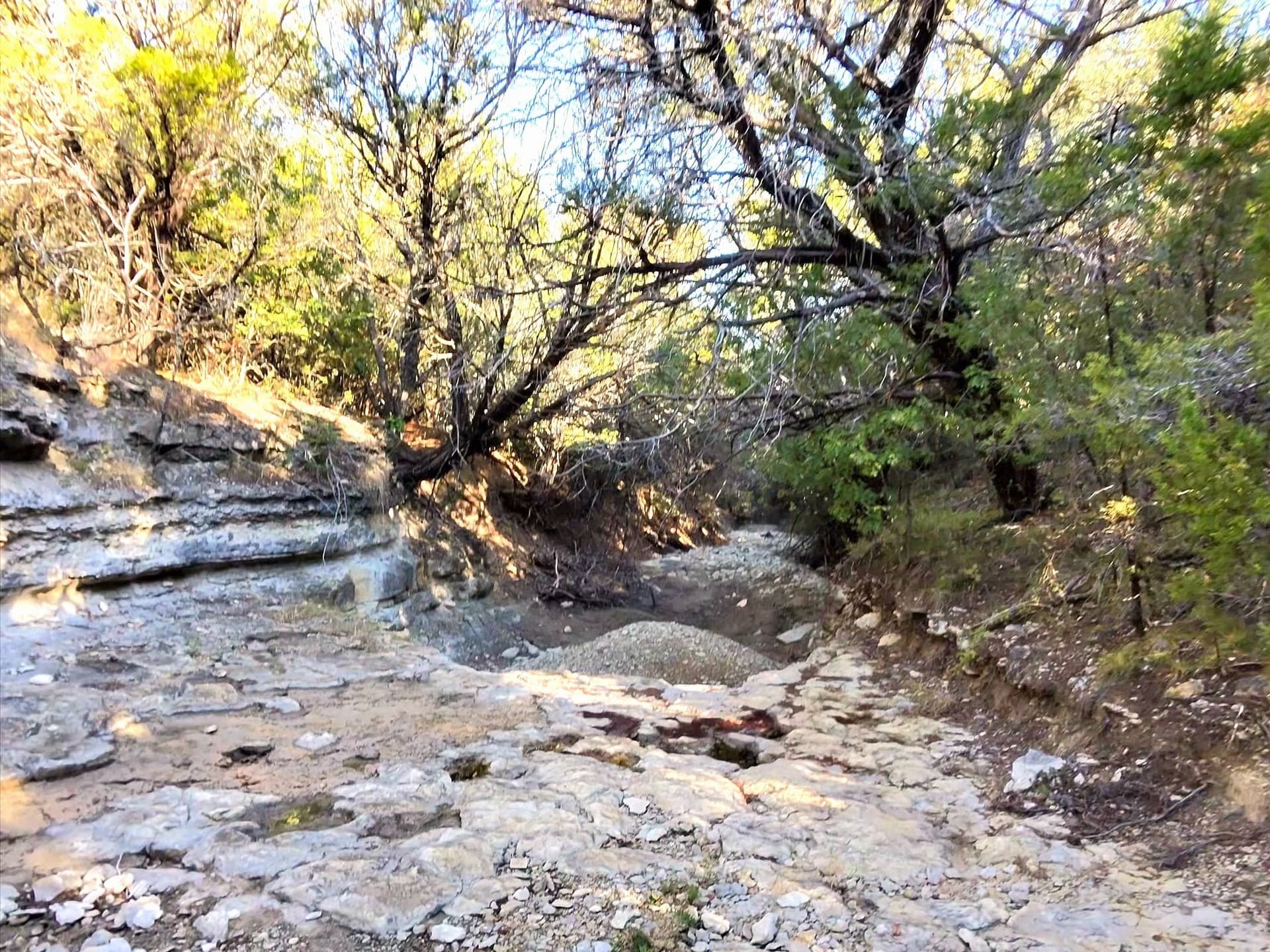 200 acres in Erath County - photo 31
