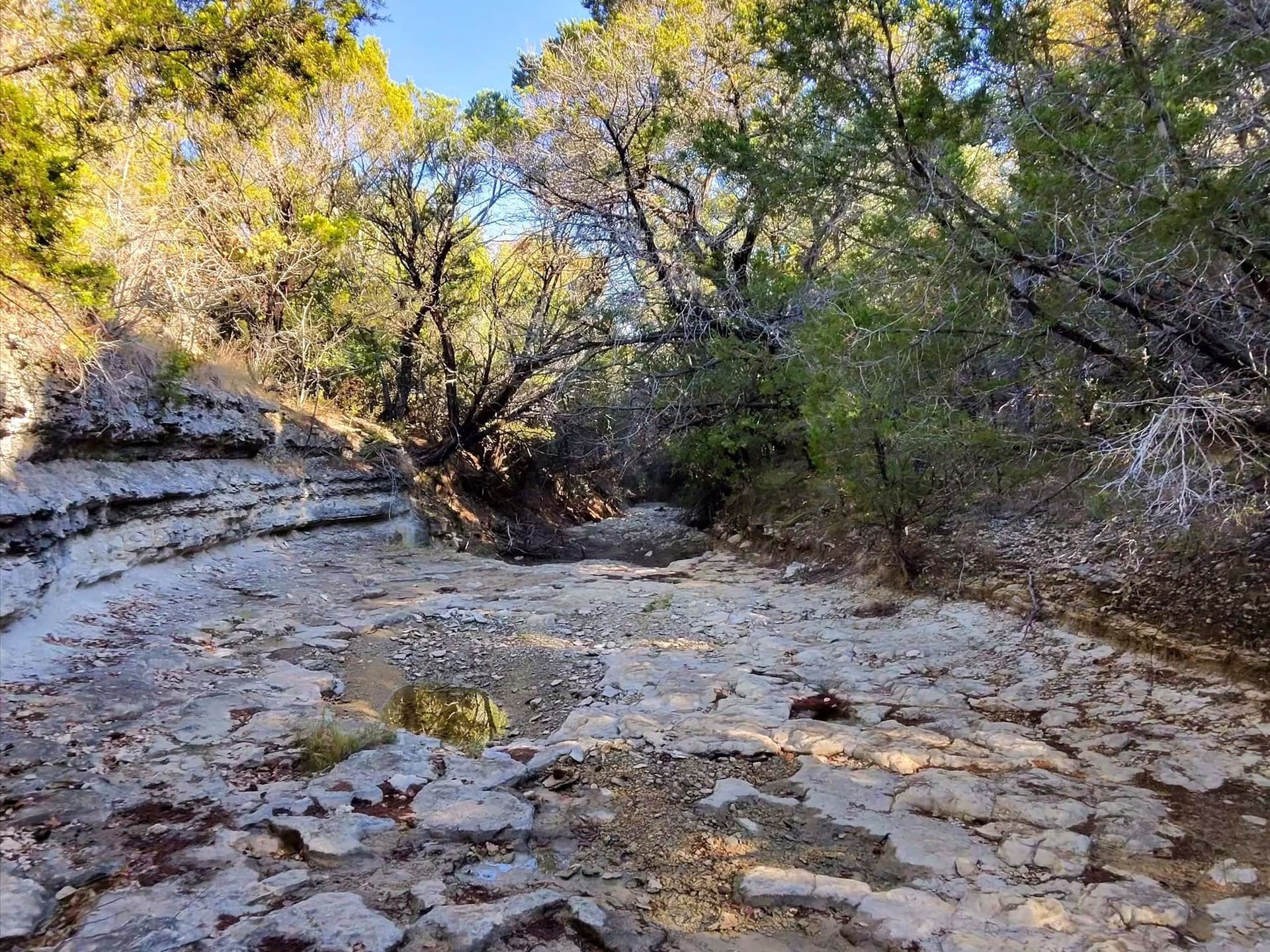 200 acres in Erath County - photo 26