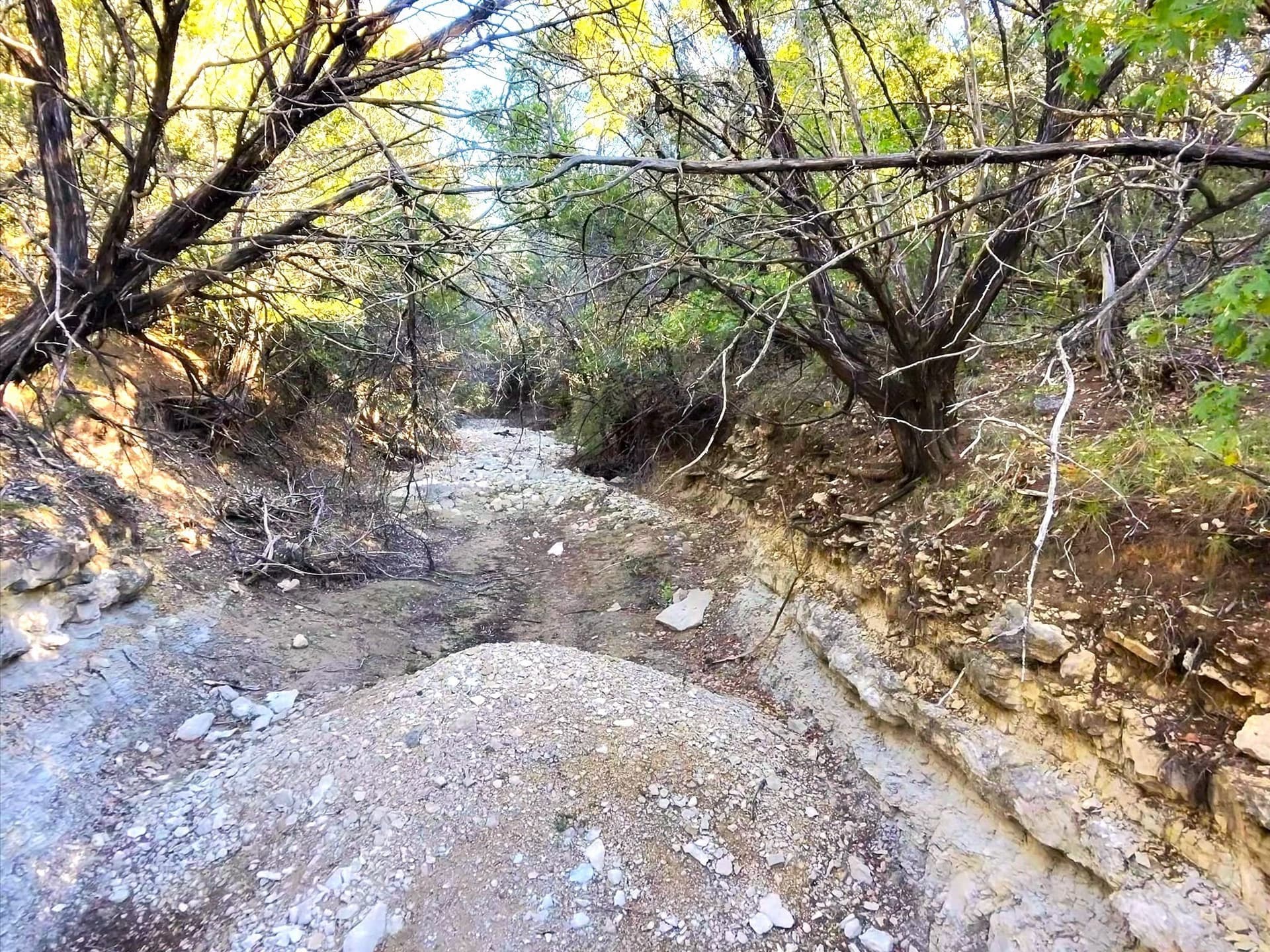 200 acres in Erath County - photo 30