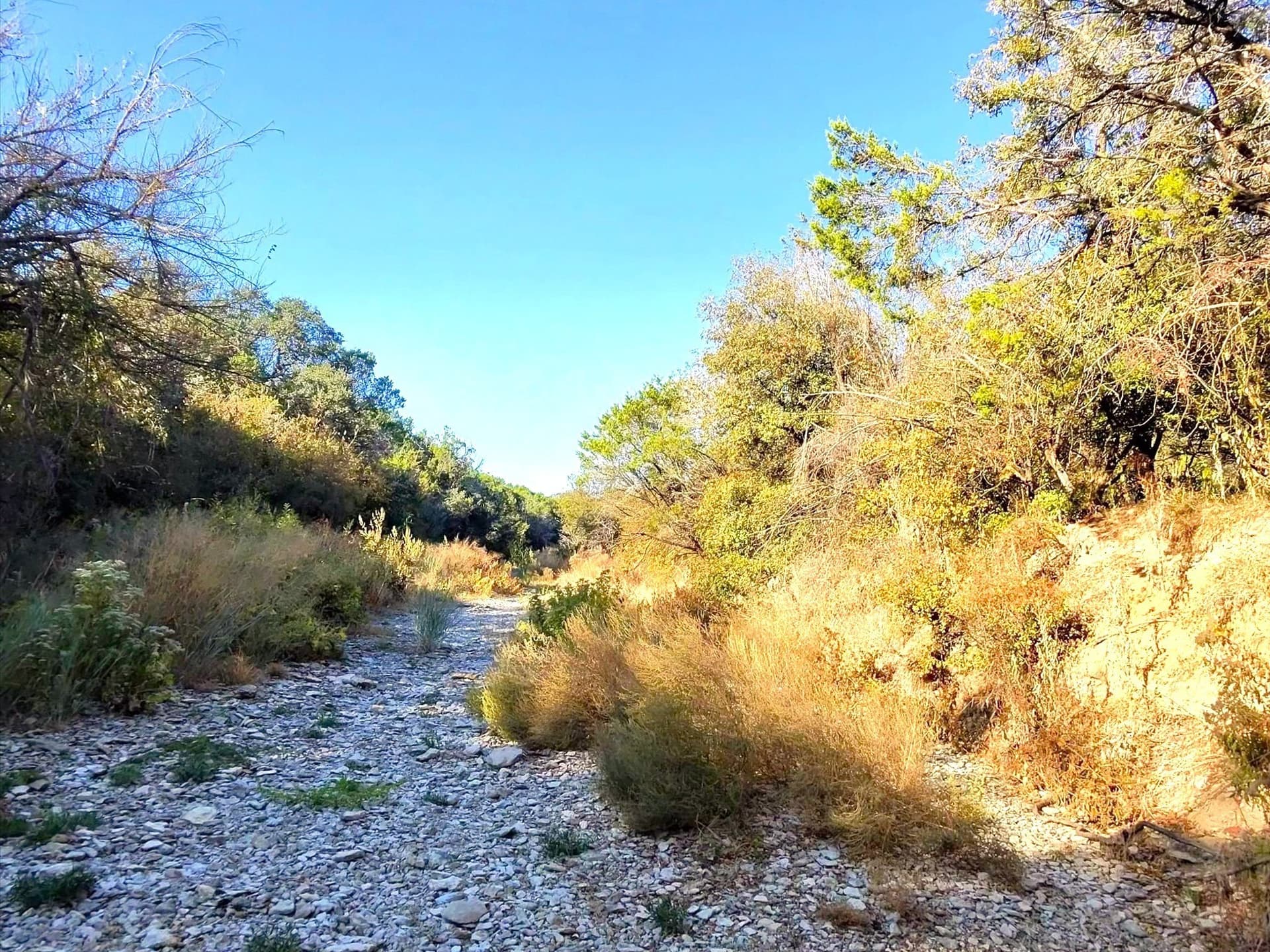 200 acres in Erath County - photo 20