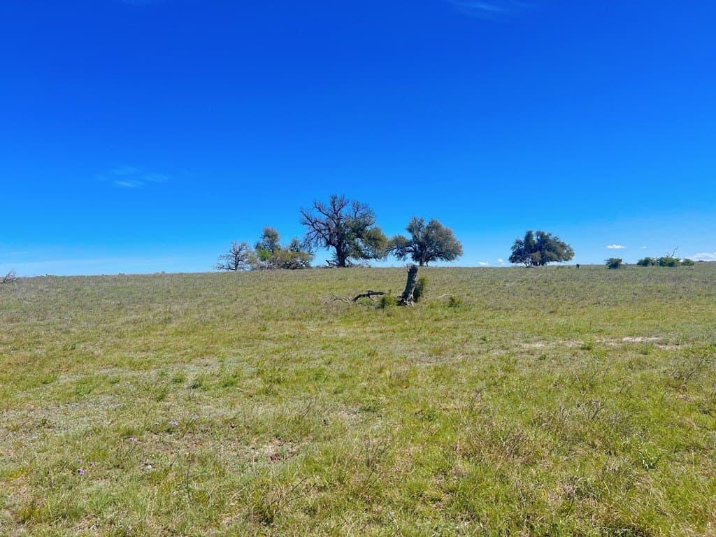 14.35 acres in Gillespie County - photo 3