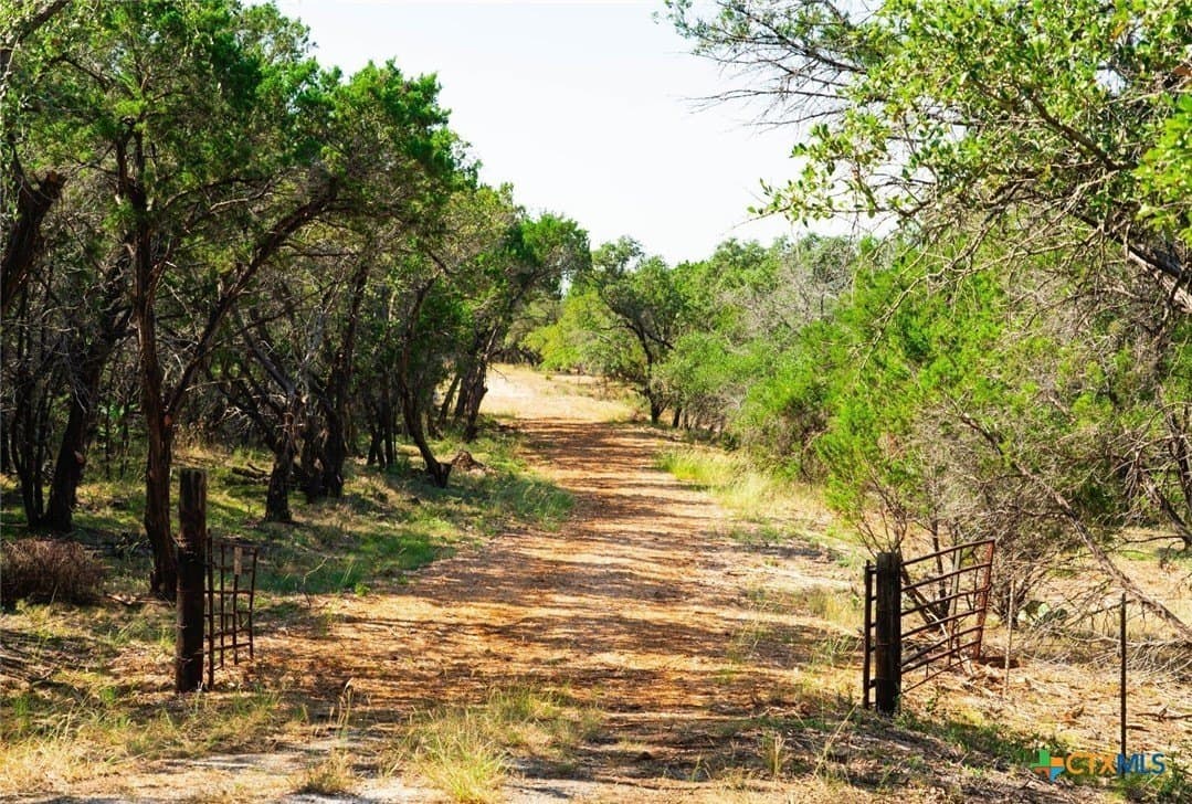 20 acres in Travis County - photo 4