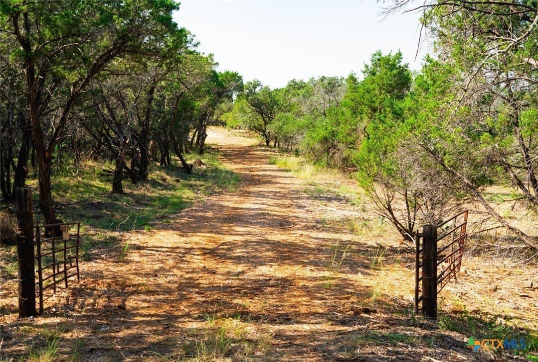 20 acres in Travis County - photo 25