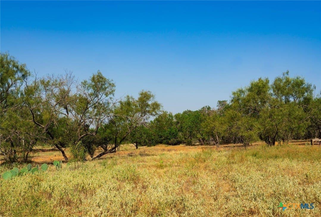 20 acres in Travis County - photo 7