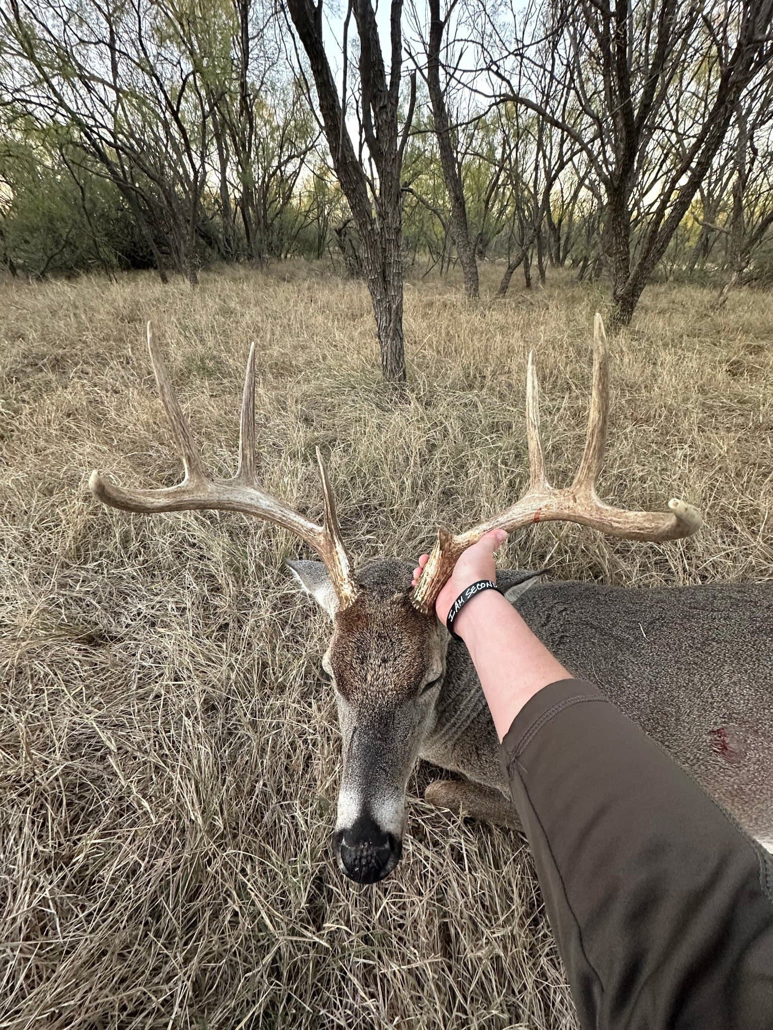 47.62 acres in Jones County - photo 4