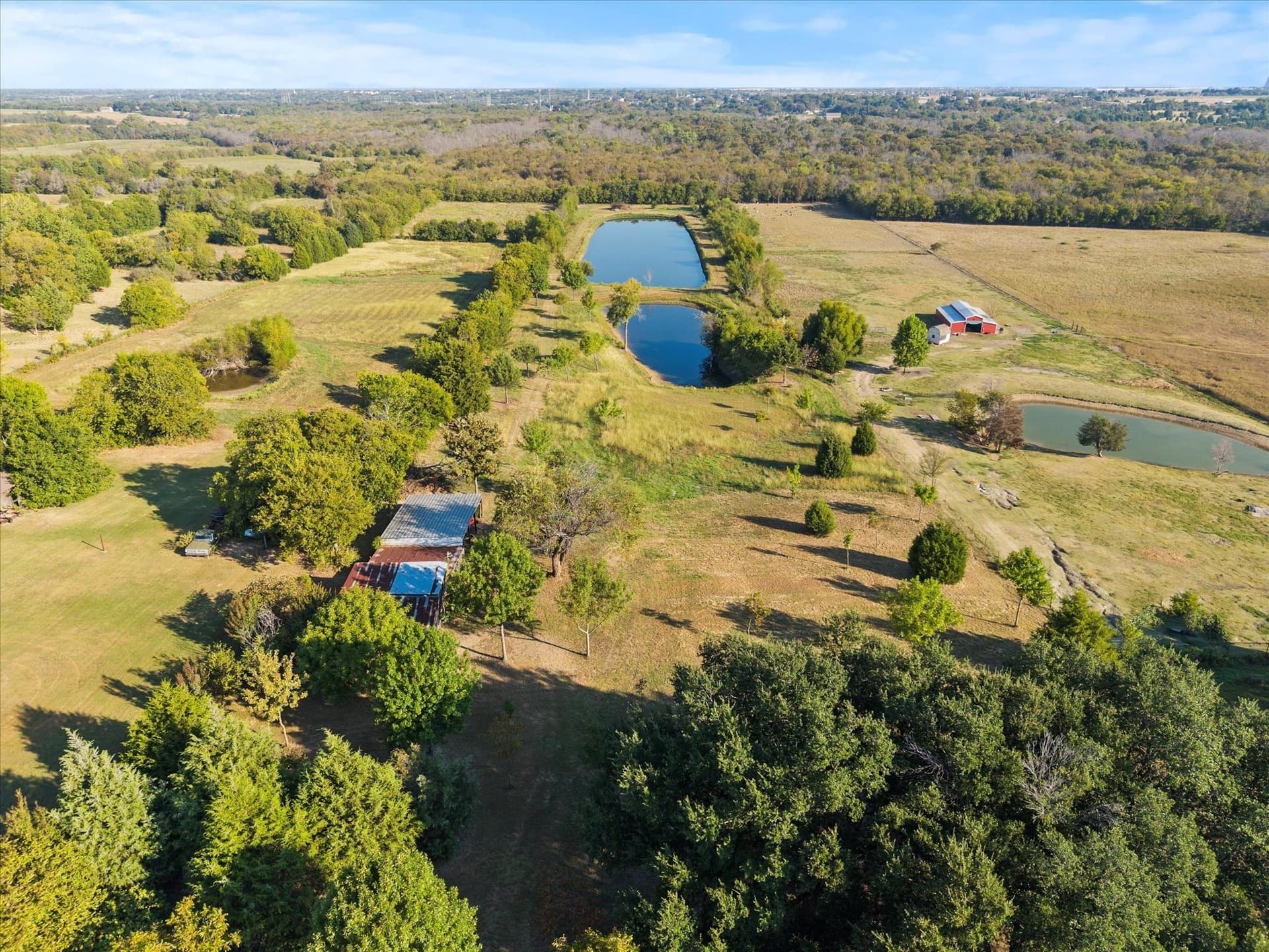 7.32 acres in Dallas County - photo 7