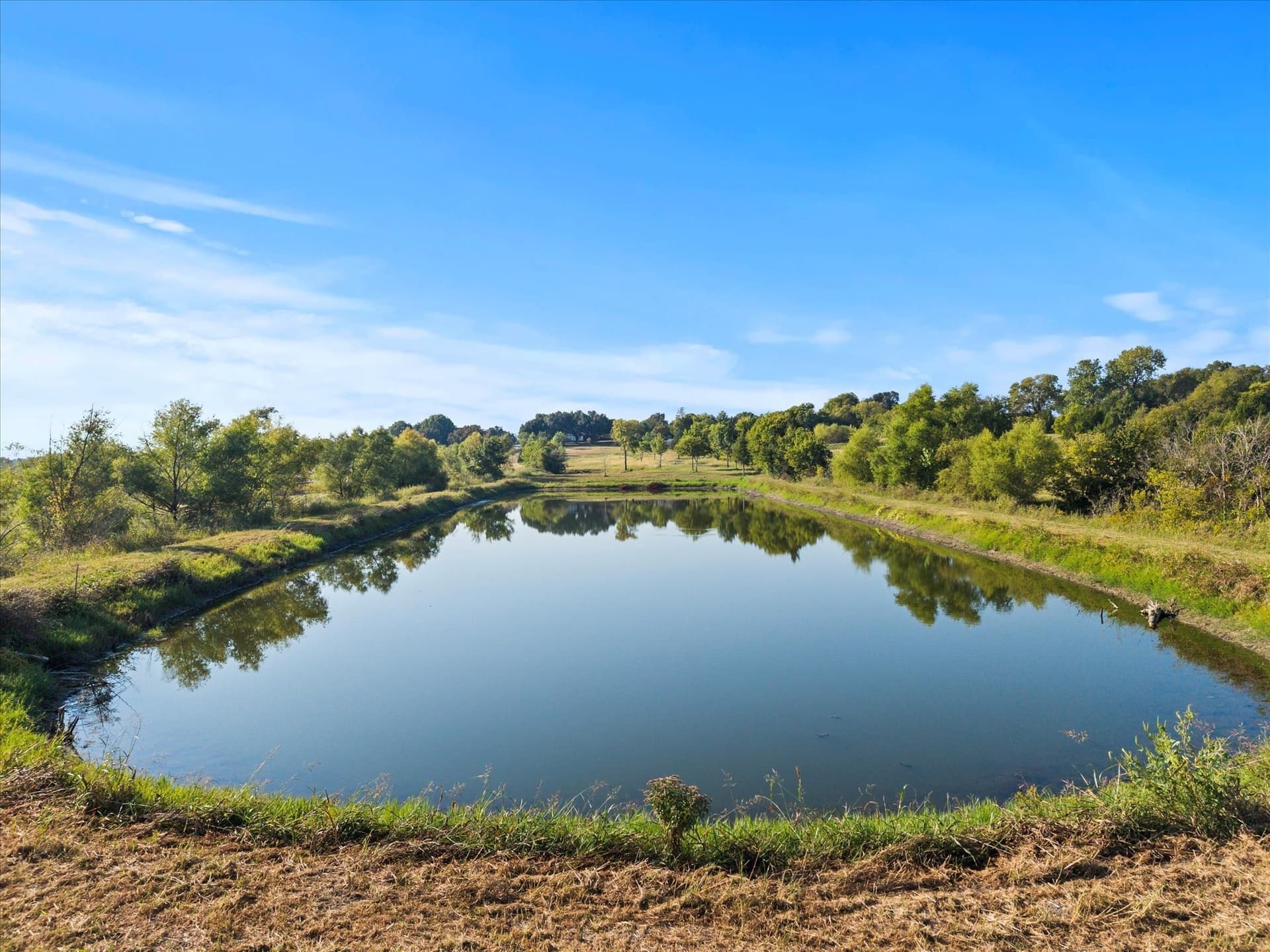 7.32 acres in Dallas County gallery image 4