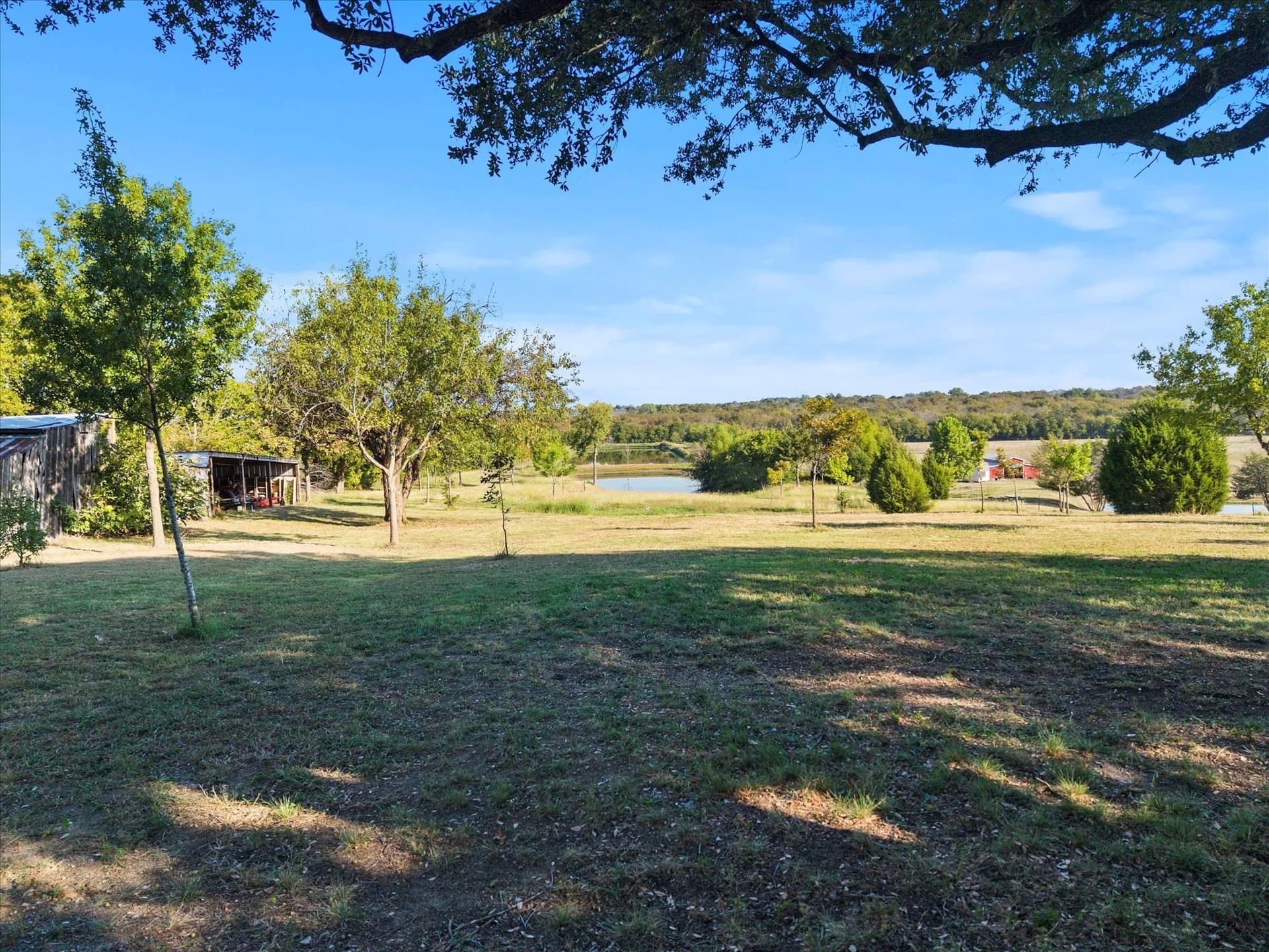 7.32 acres in Dallas County - photo 11