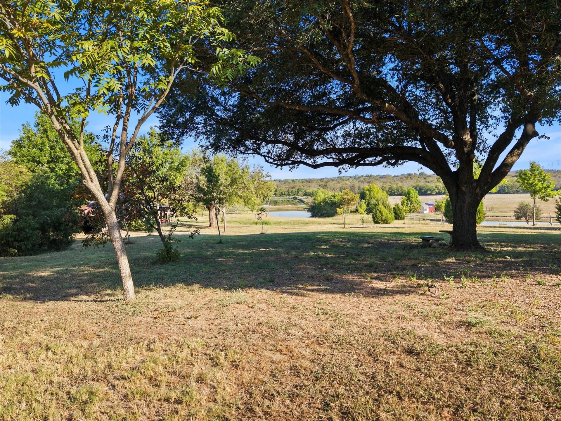 7.32 acres in Dallas County - photo 10