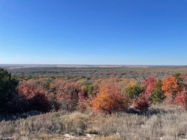 13.43 acres in Eastland County gallery image 2