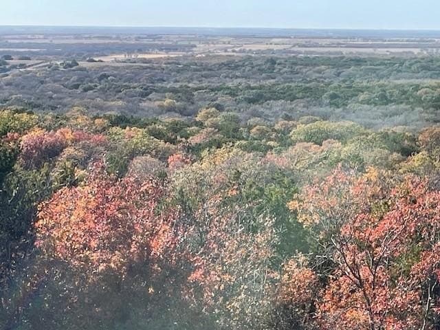 13.43 acres in Eastland County gallery image 4