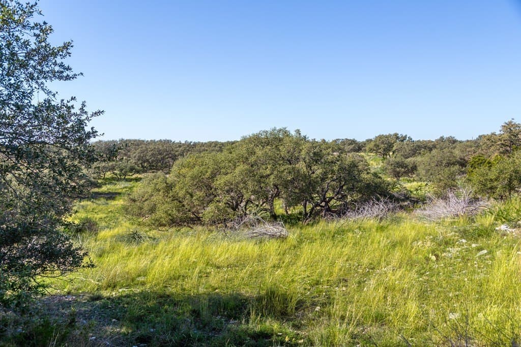 45.02 acres in Kerr County - photo 15
