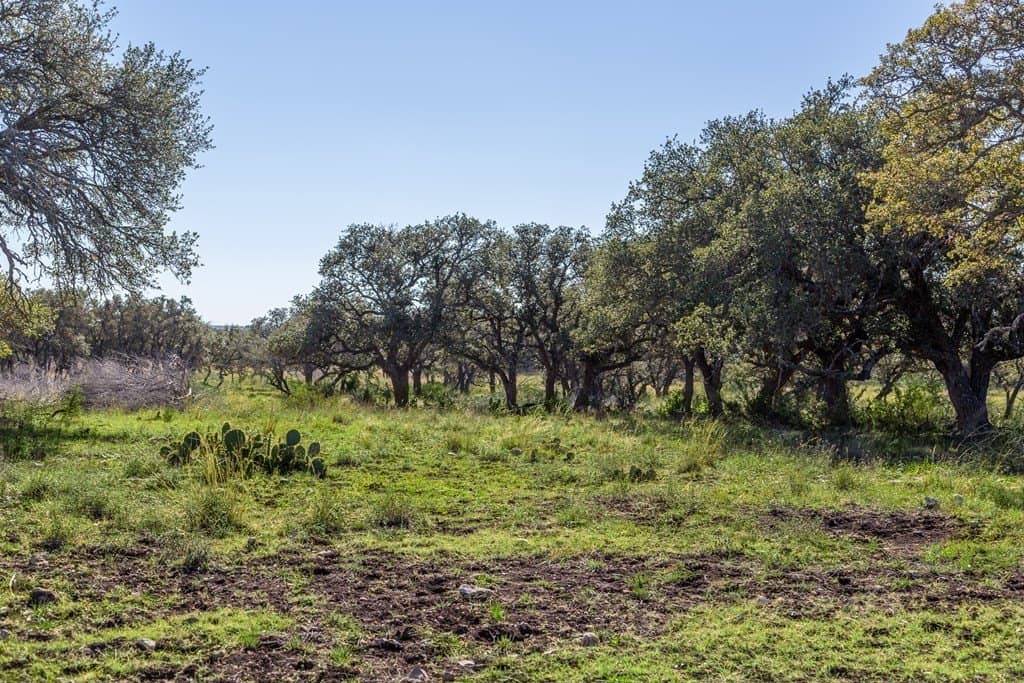 45.02 acres in Kerr County - photo 12