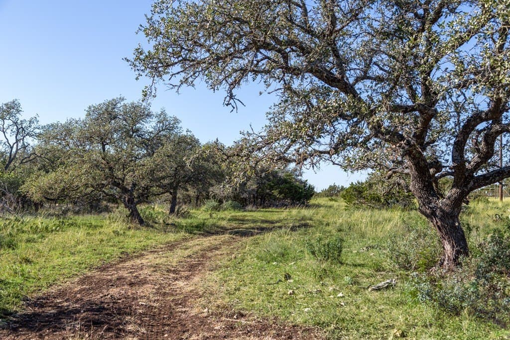 45.02 acres in Kerr County - photo 9