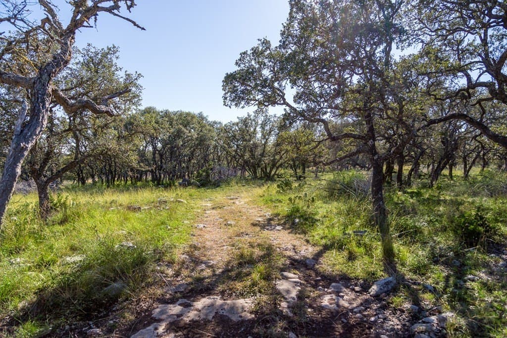 45.02 acres in Kerr County gallery image 4