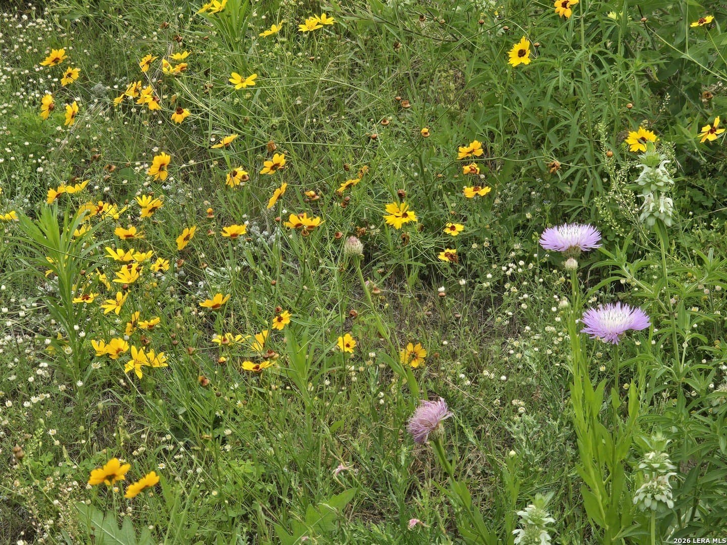 8.4 acres in Medina County gallery image 3