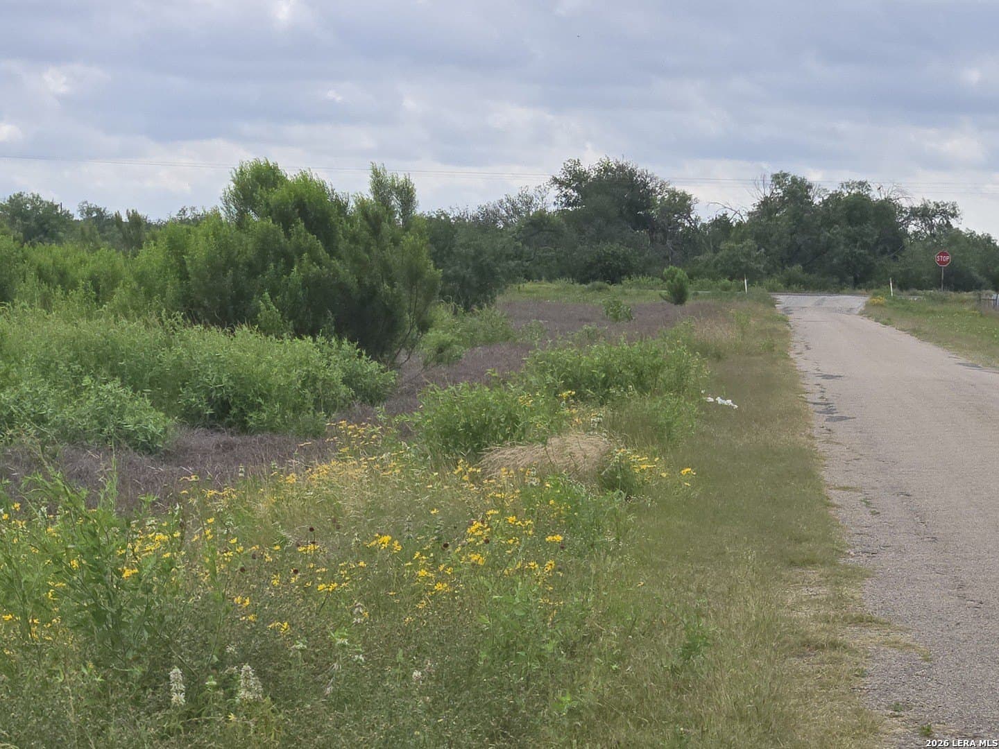 8.4 acres in Medina County featured view