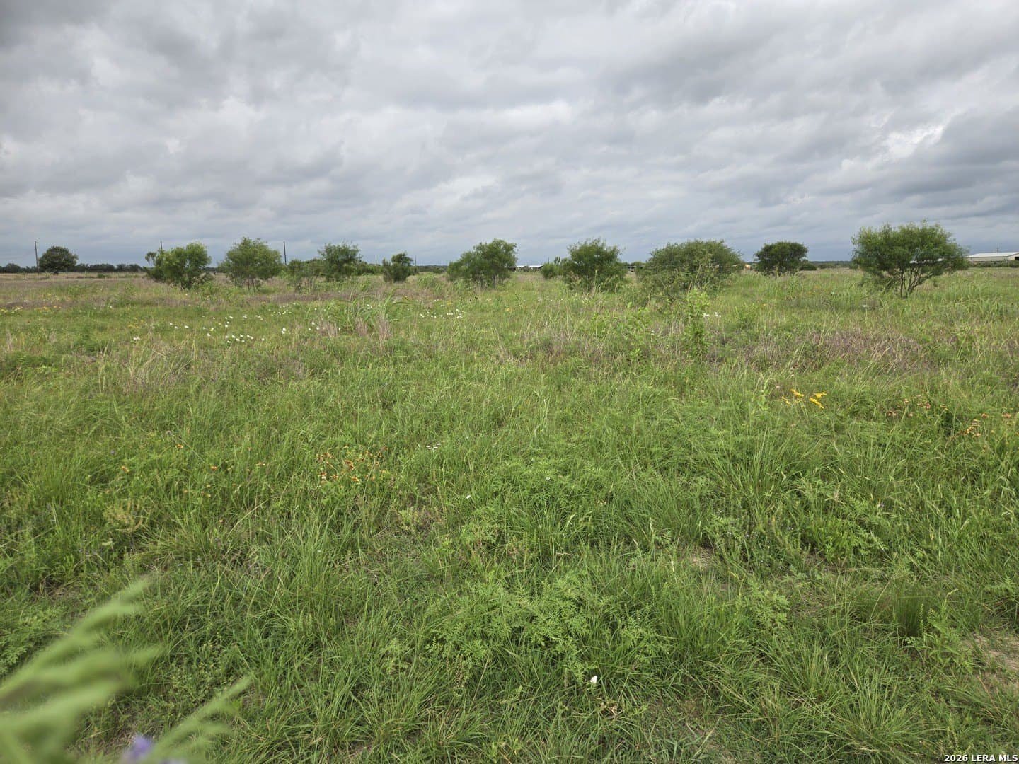 8.4 acres in Medina County - photo 13