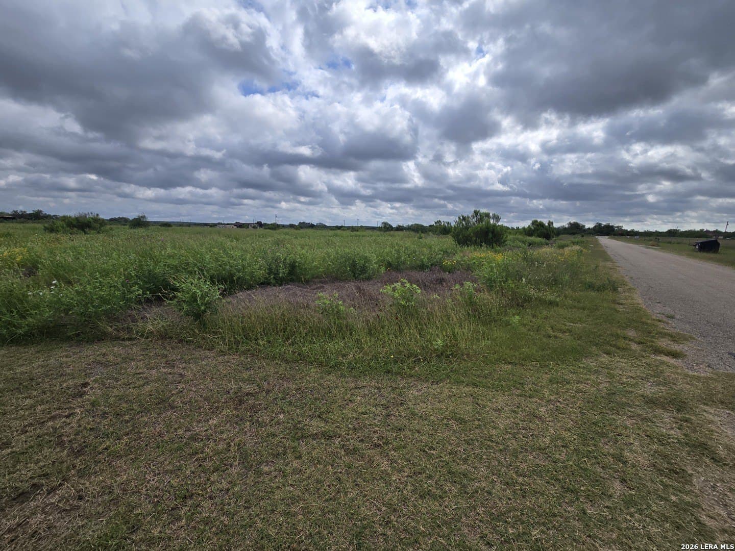8.4 acres in Medina County gallery image 4