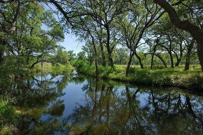 1.08 acres in Llano County - photo 22