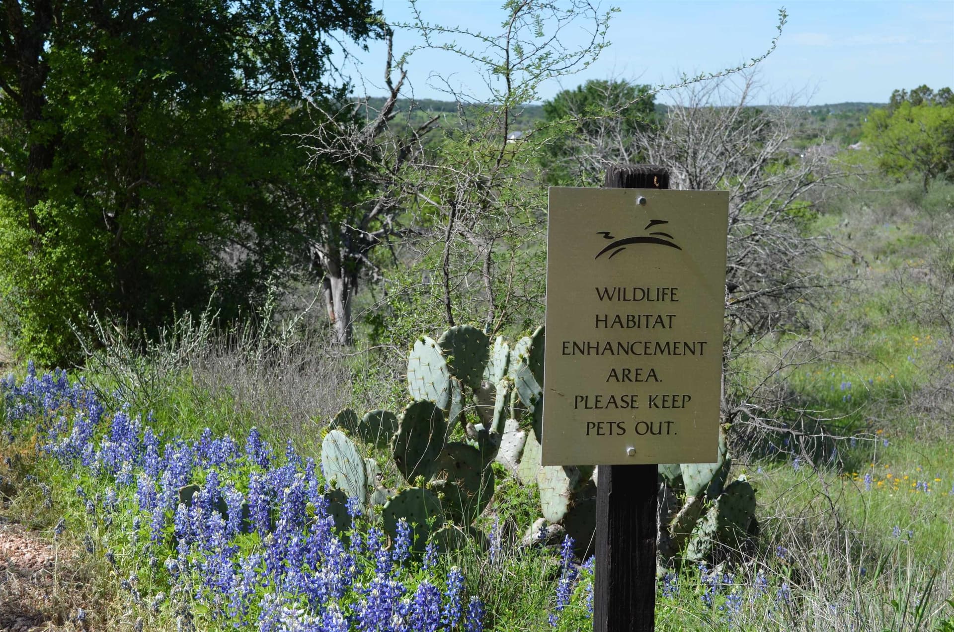 1.08 acres in Llano County - photo 26