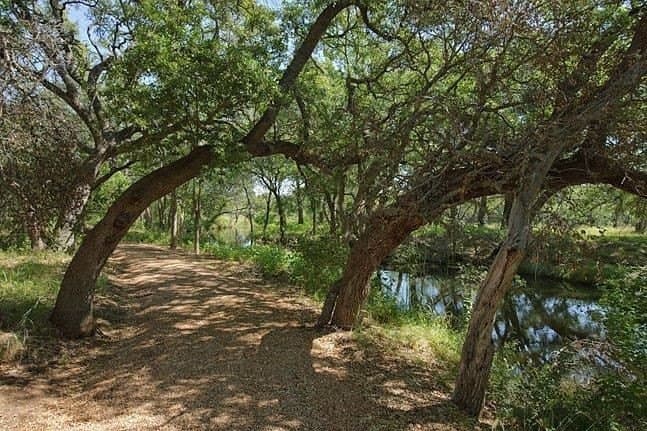 1.08 acres in Llano County - photo 21
