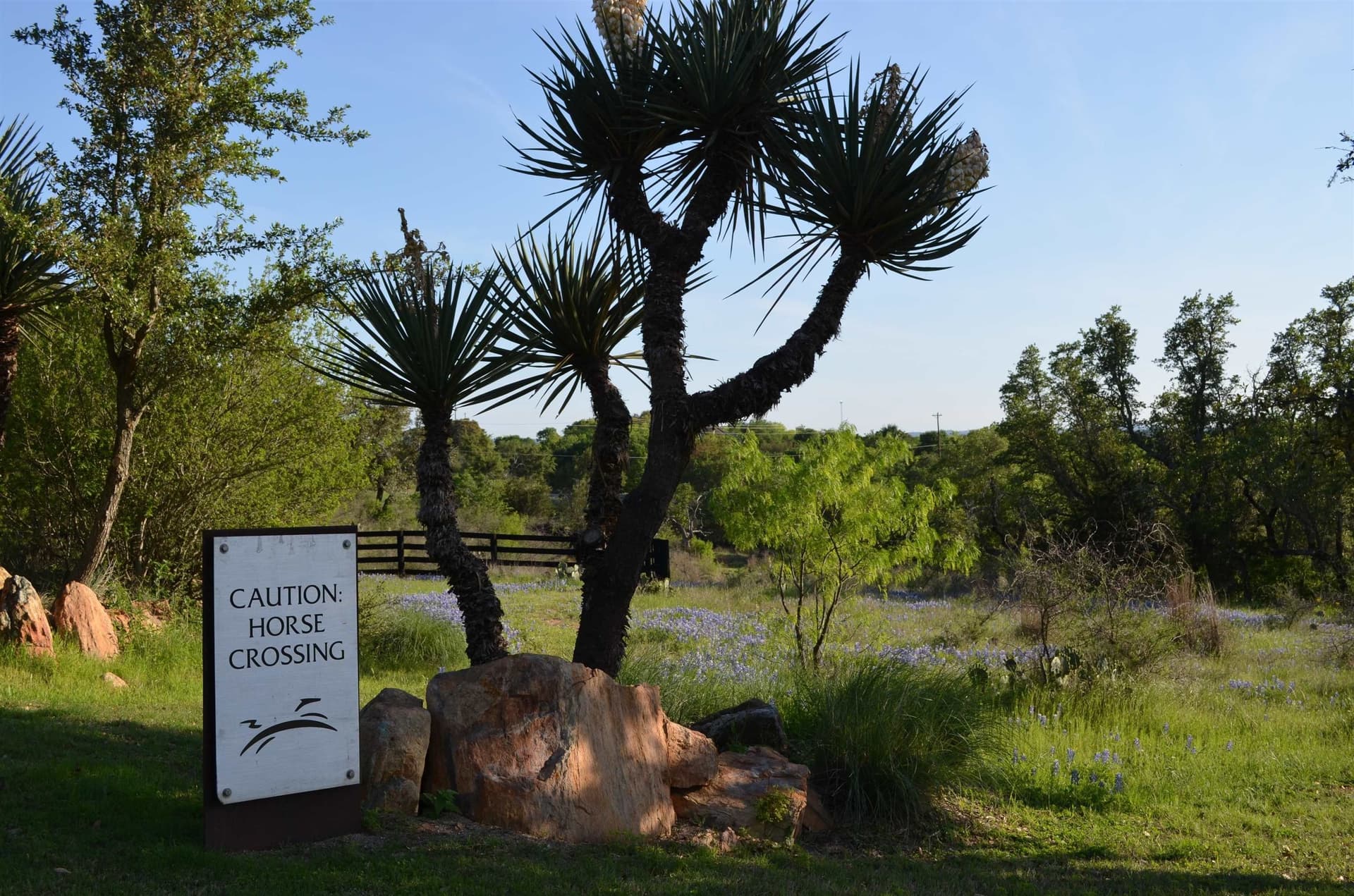 1.08 acres in Llano County - photo 23