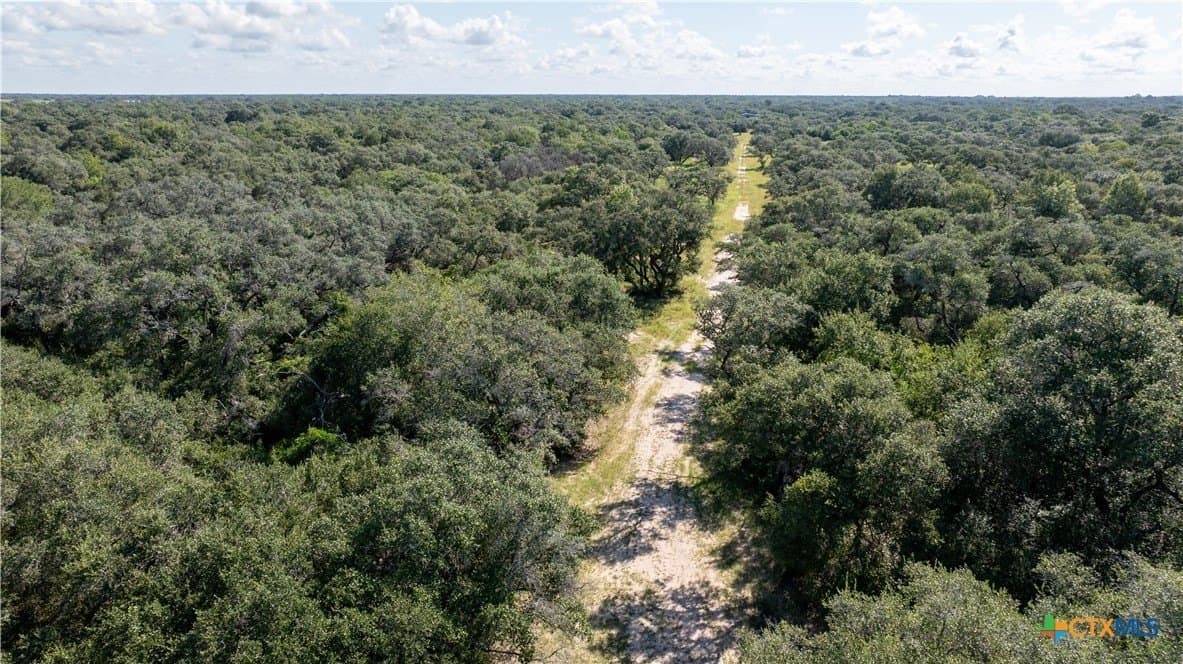 50 acres in Victoria County - photo 7