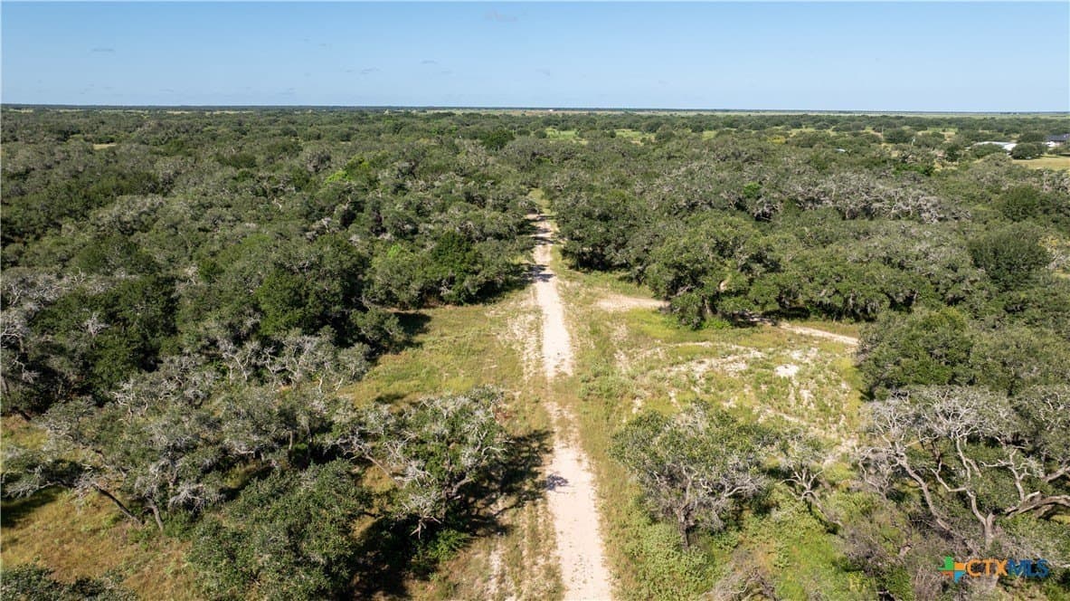 50 acres in Victoria County gallery image 2