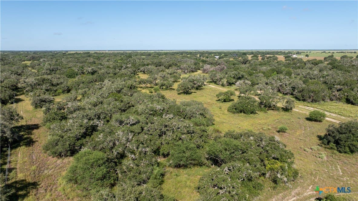 50 acres in Victoria County - photo 9
